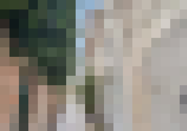 Image 49