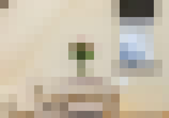 Image 45