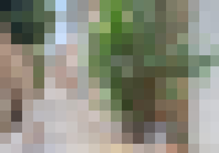 Image 48