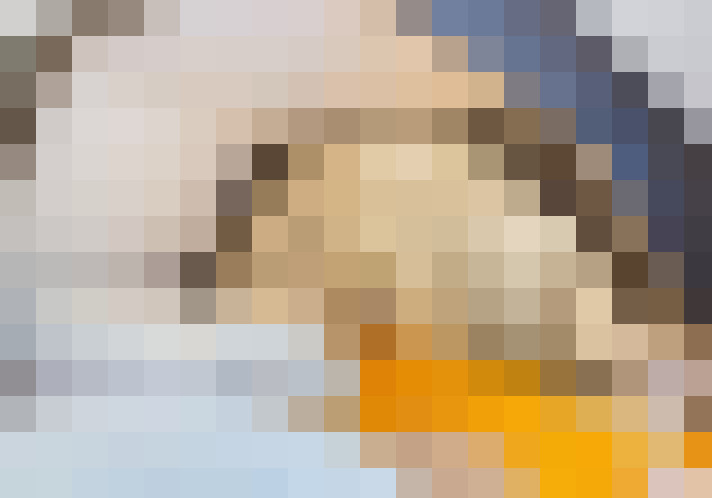 Image 40