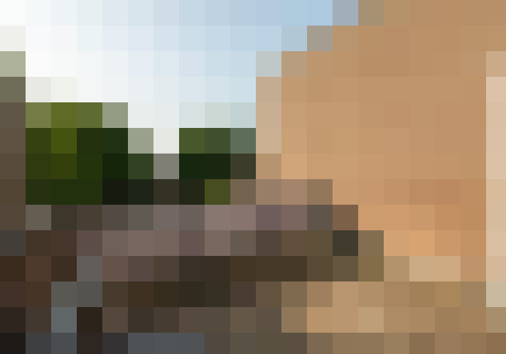 Image 20