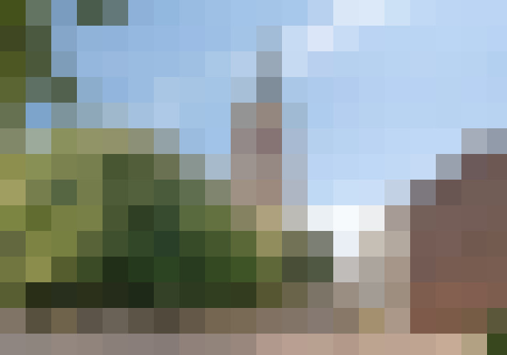 Image 20