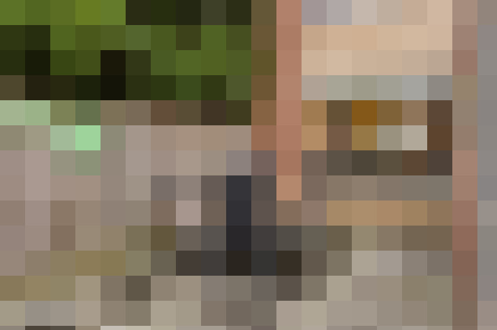 Image 24