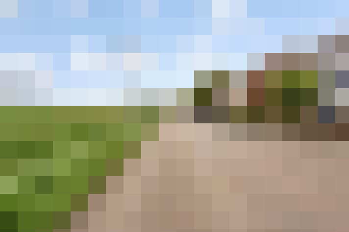 Image 35
