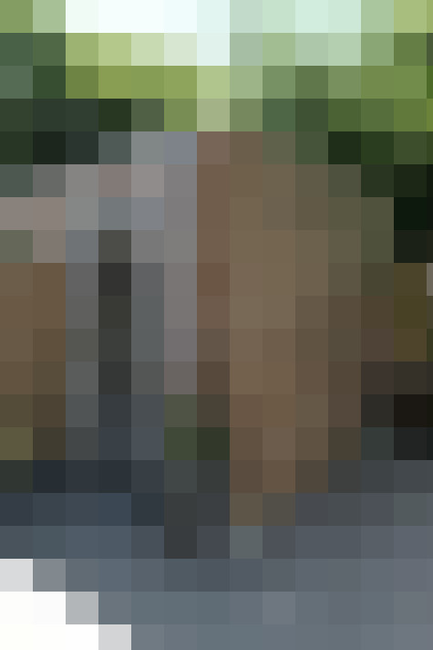 Image 33