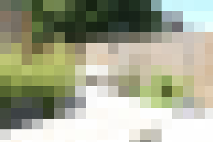 Image 31