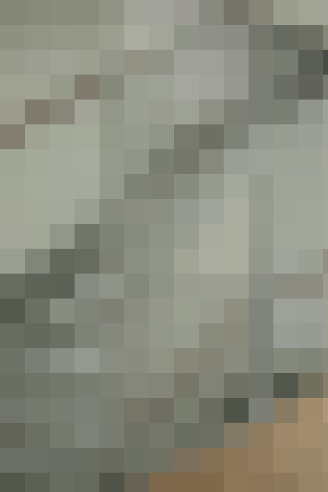 Image 26