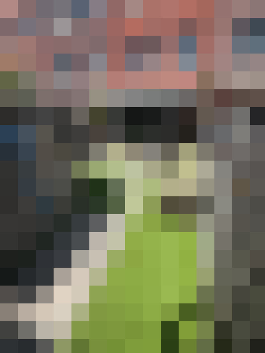 Image 15