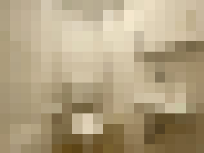 Image 24