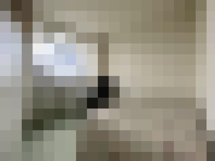 Image 17