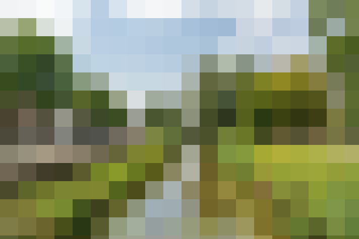 Image 51