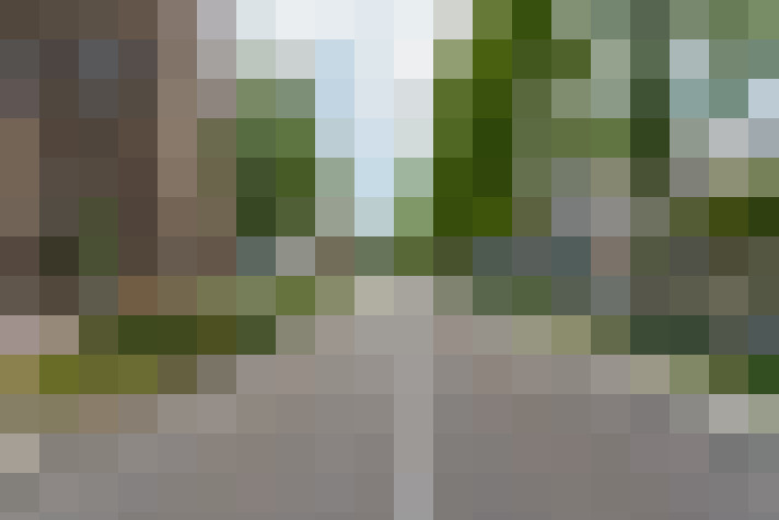 Image 53
