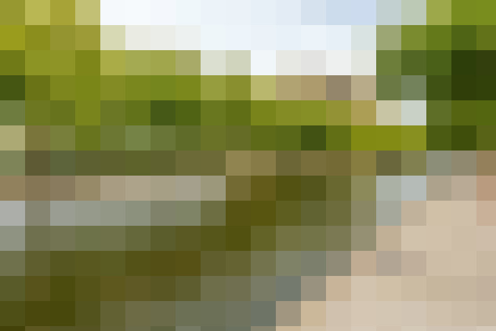 Image 50