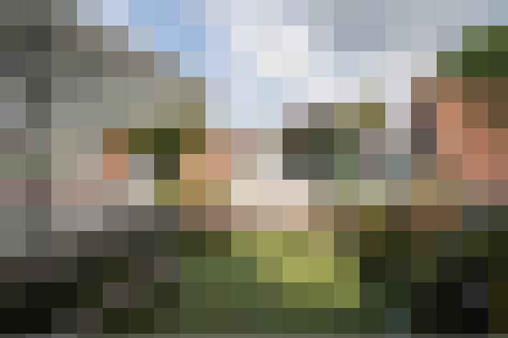 Image 23