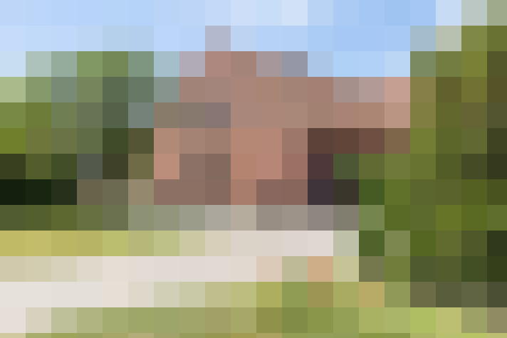 Image 31
