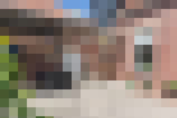 Image 28