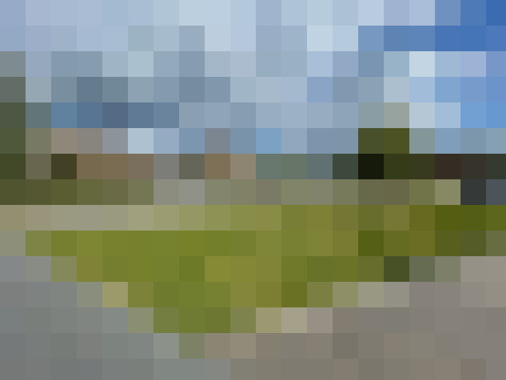 Image 16