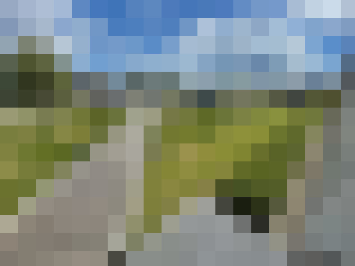 Image 15