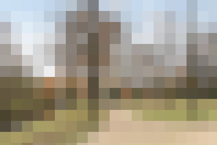 Image 25