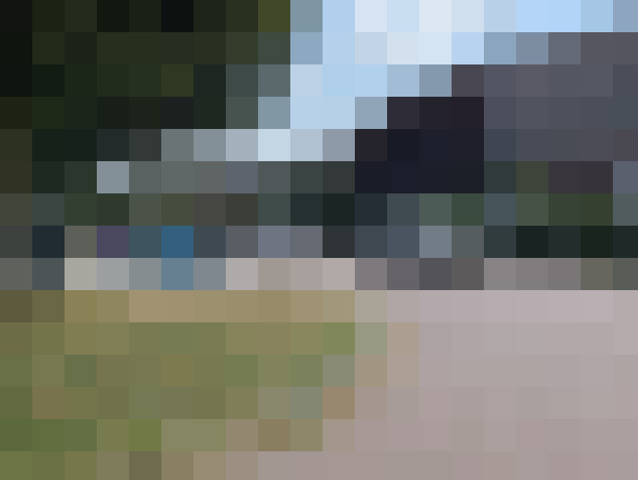 Image 95