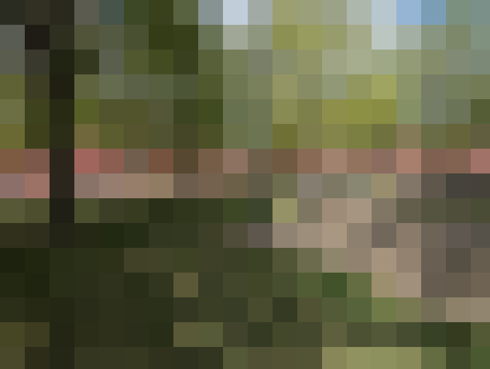 Image 77