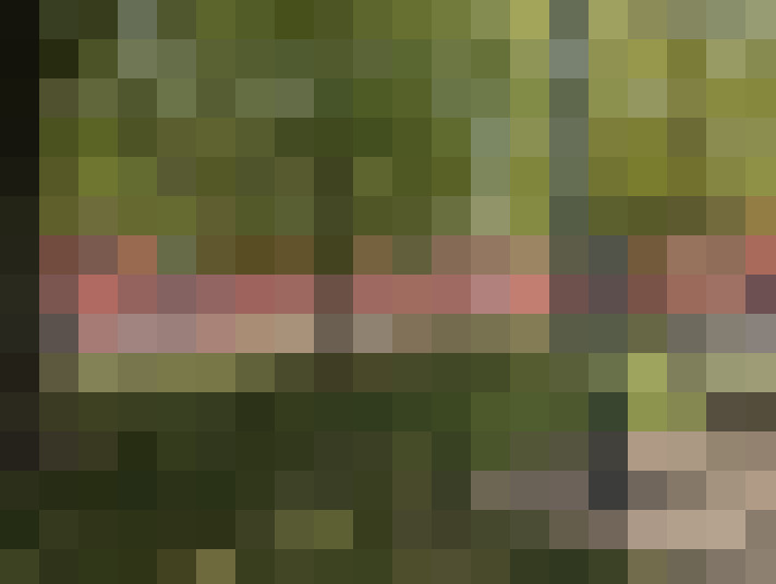 Image 76