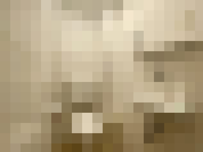 Image 24
