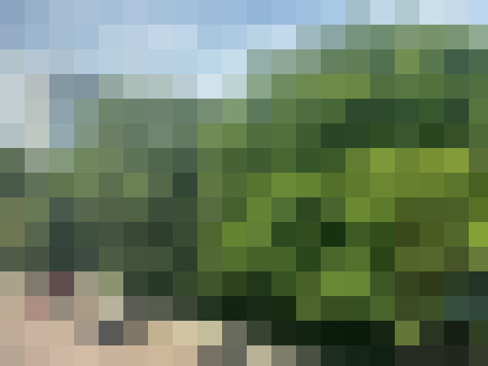 Image 29