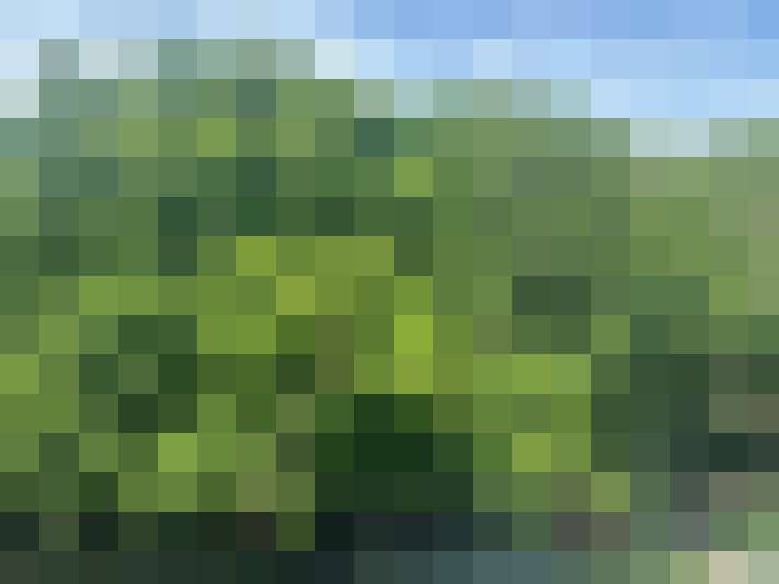 Image 28