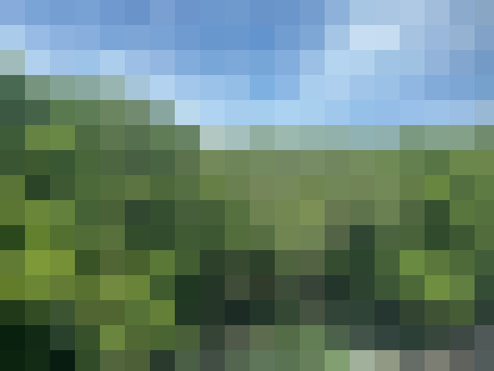 Image 27