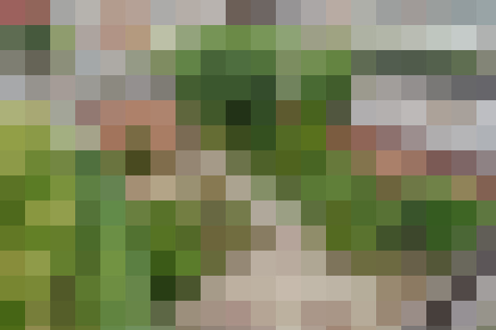 Image 36