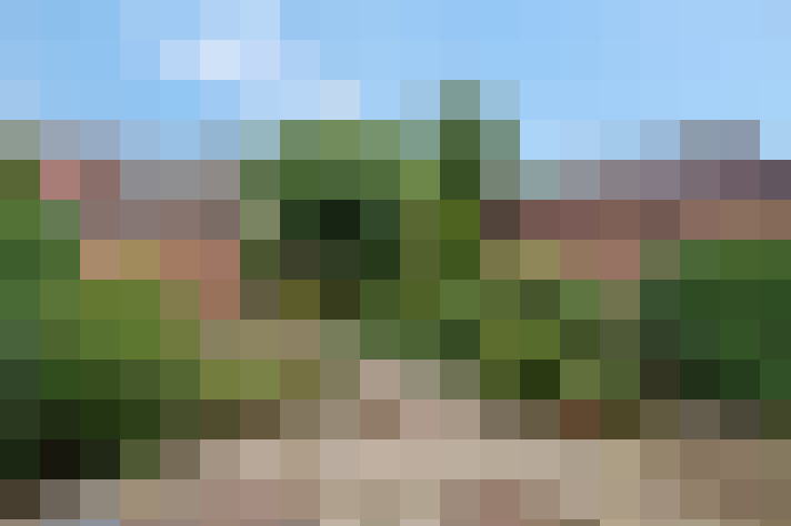 Image 32
