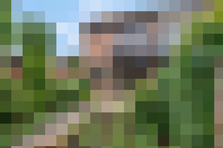 Image 37