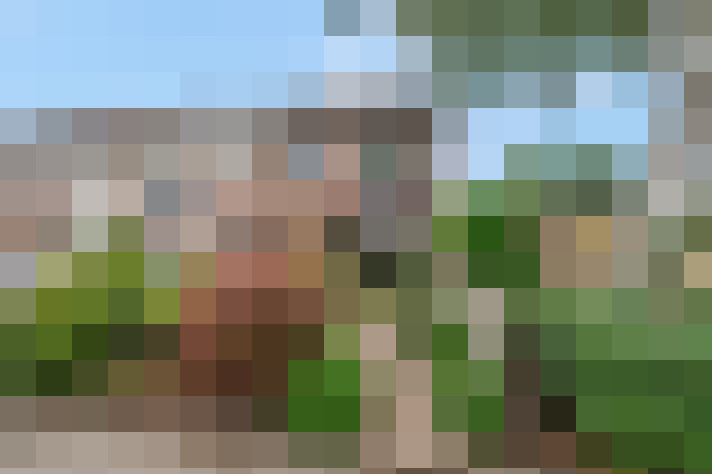 Image 38