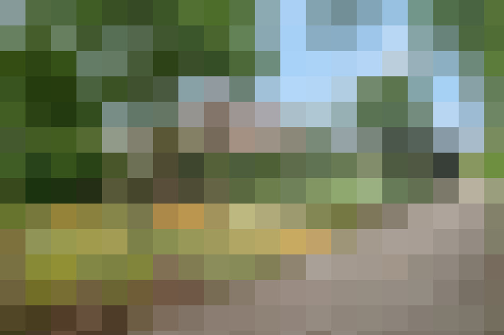 Image 41