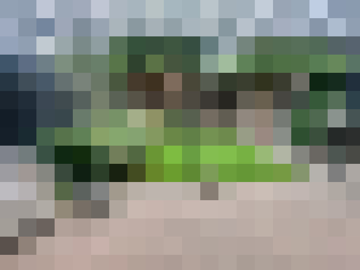 Image 13