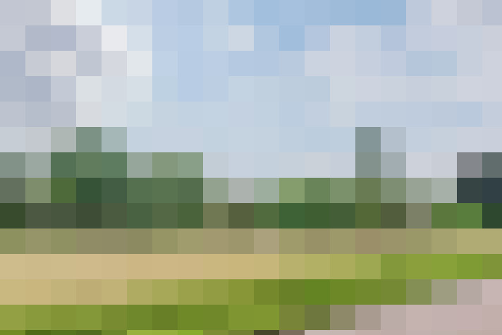 Image 24