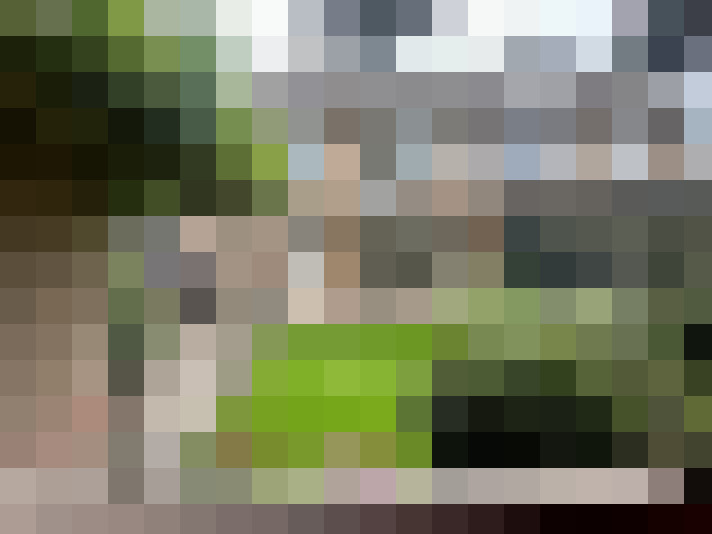 Image 15