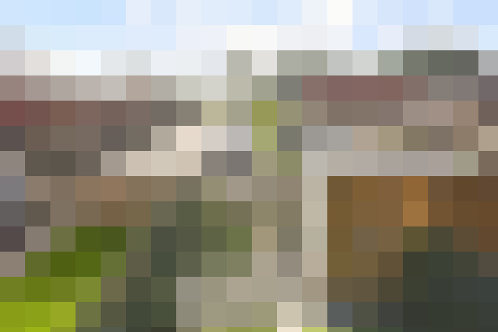 Image 22