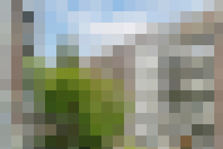 Image 30