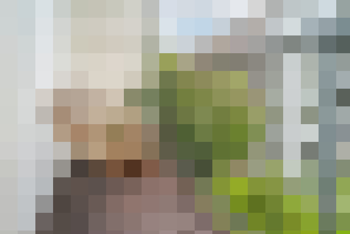 Image 28