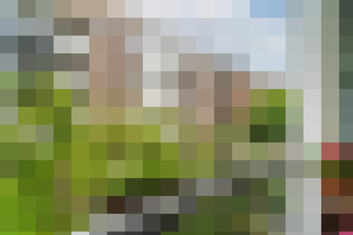 Image 20