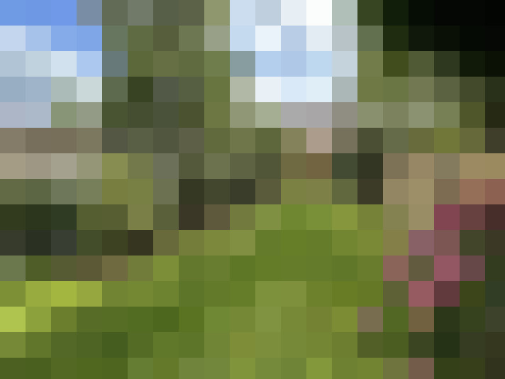 Image 17