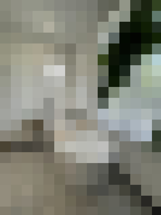Image 14