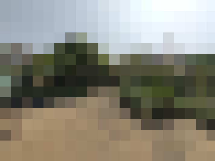 Image 15