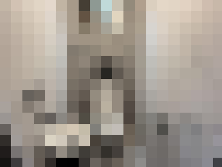  / #20