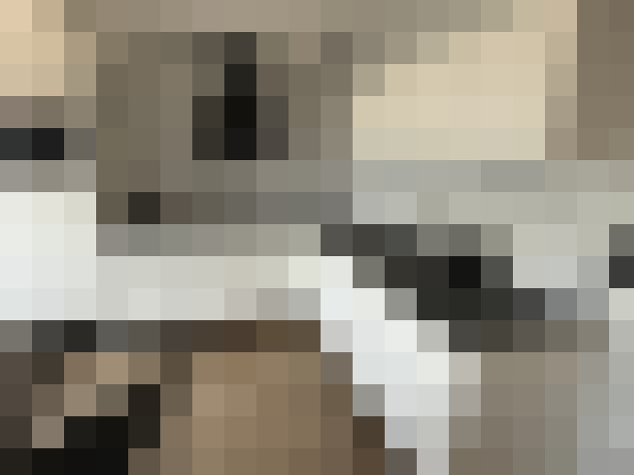  / #8