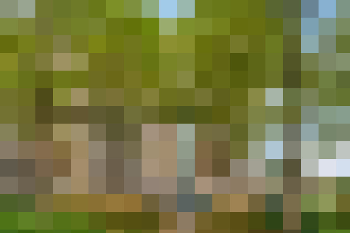 Image 27