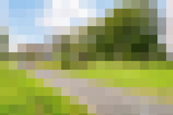 Image 30