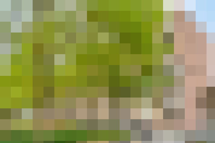 Image 26